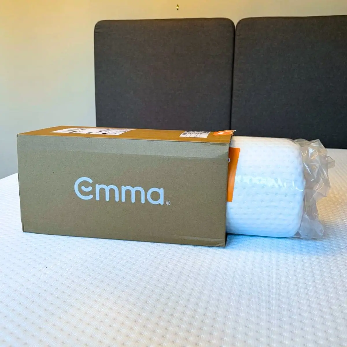 Packaging Oreiller Original Premium Emma Packaging Oreiller Original Premium Emma