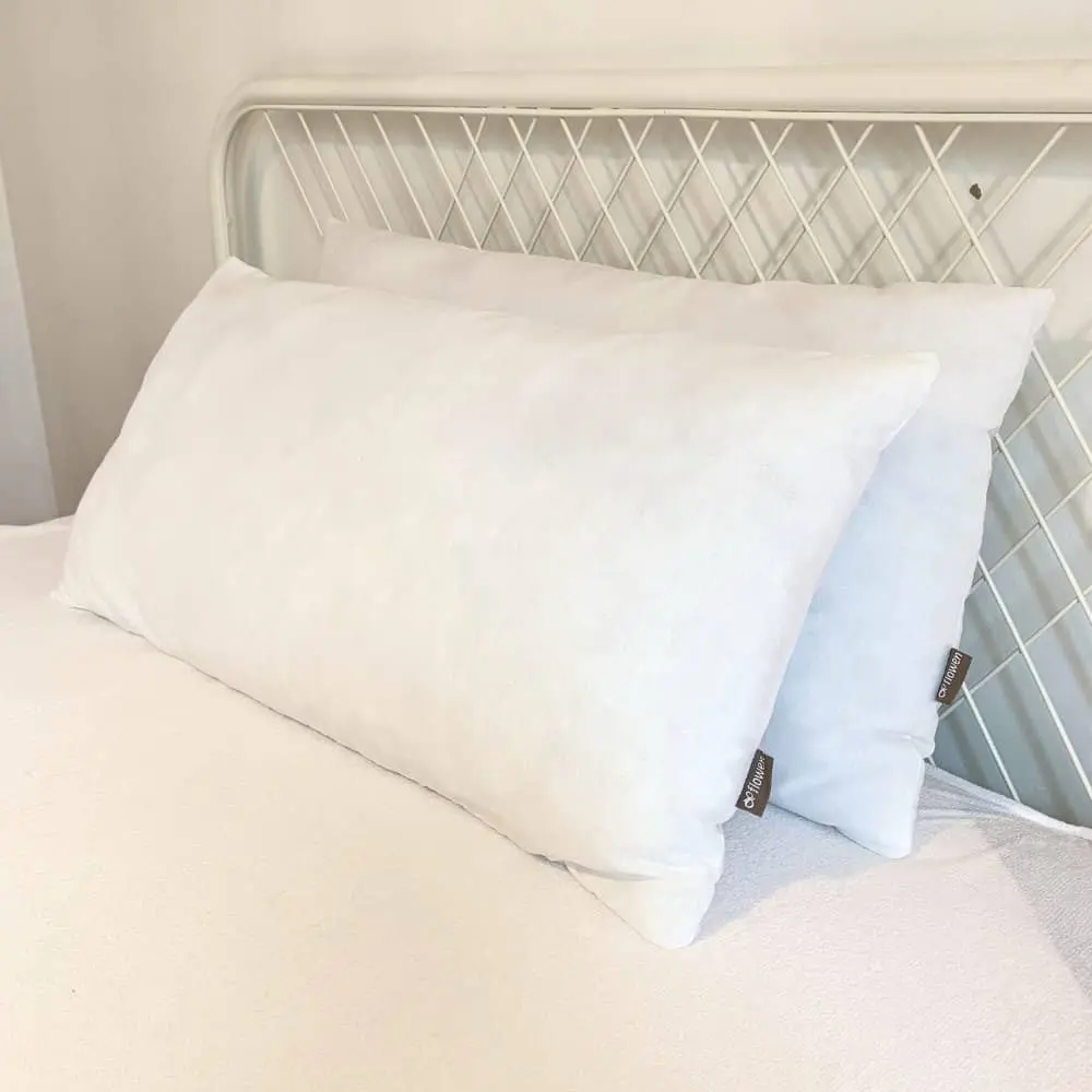 Lot de 2 oreillers blancs Lot de 2 oreillers blancs